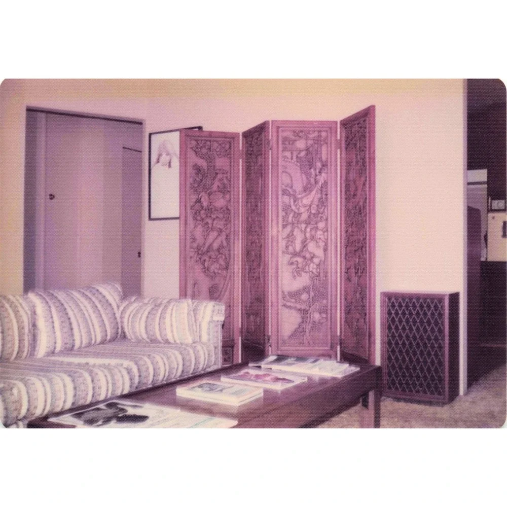 Vintage 1970s Home Interiors Lot of 8 Photos Asian Decor USAF 3.5x5 - Picture 2 of 8